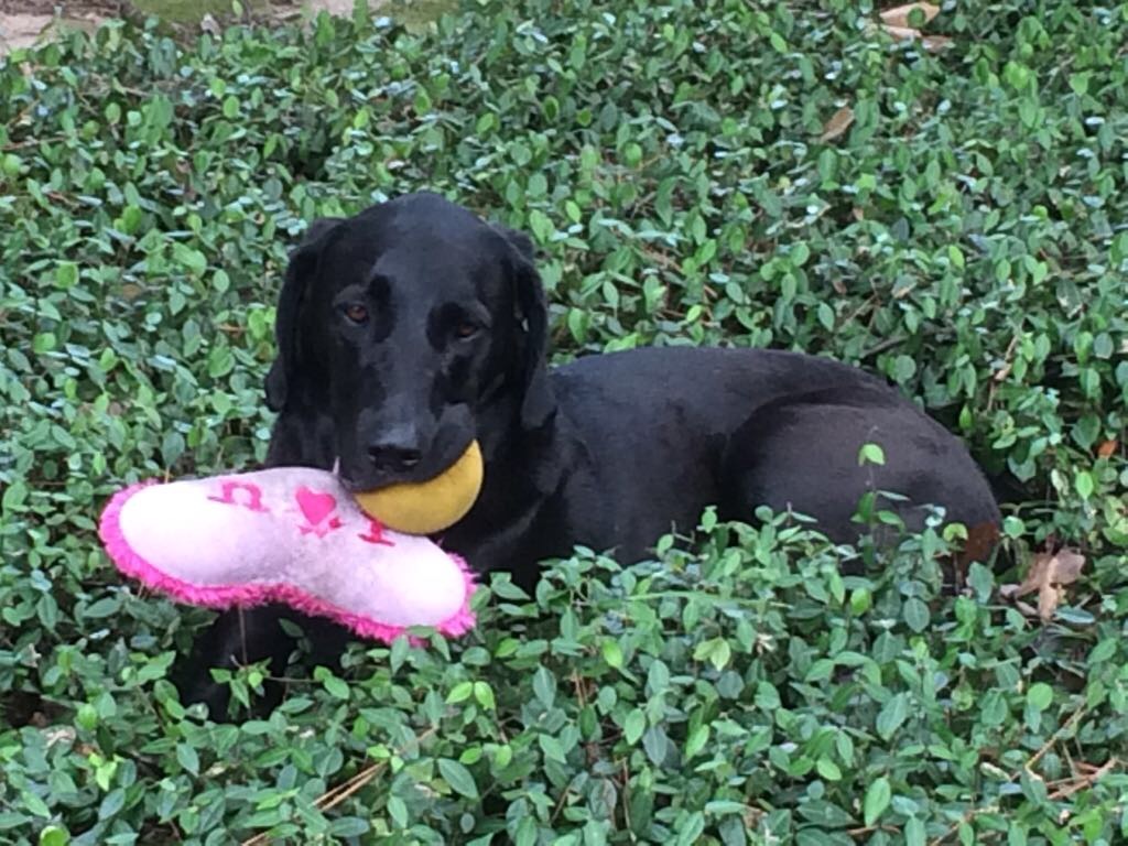 Maggie